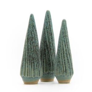 Ponderosa Pine — Grøn Grantræ - Billede 3