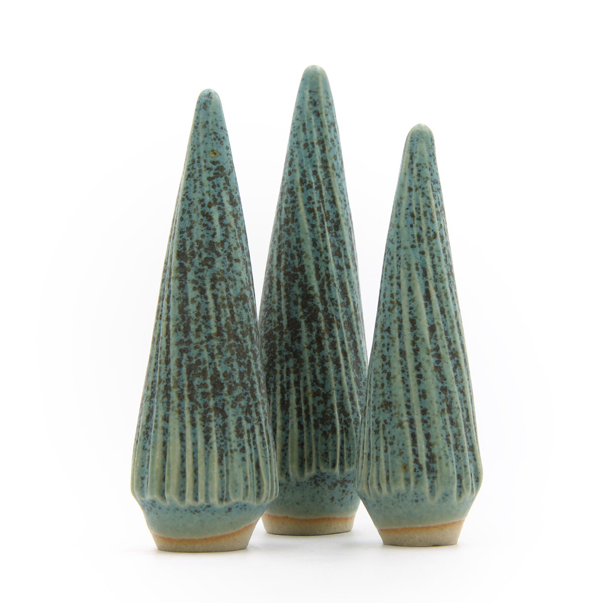 Ponderosa Pine — Grøn Grantræ - Billede 3