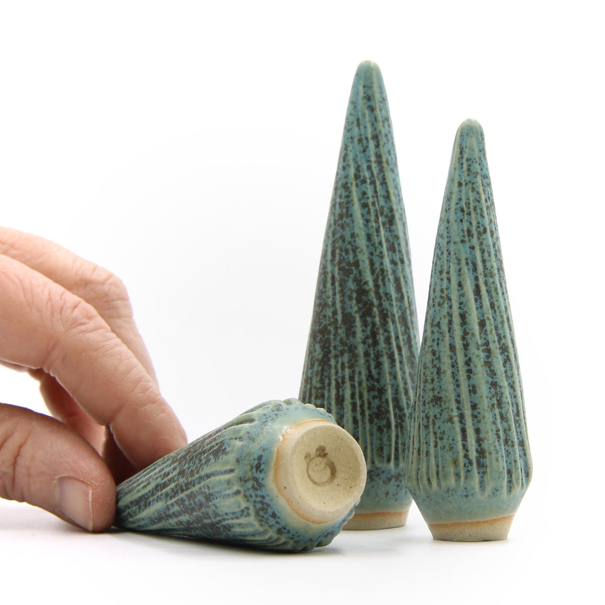 Ponderosa Pine — Grøn Grantræ - Billede 2