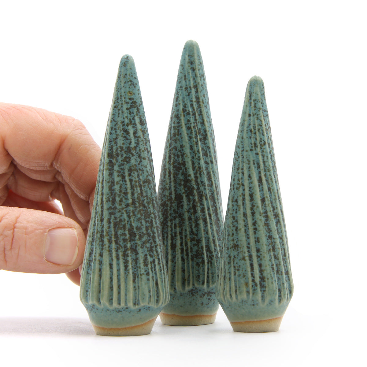 Ponderosa Pine — Grøn Grantræ - Billede 4