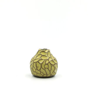 CAVA vase